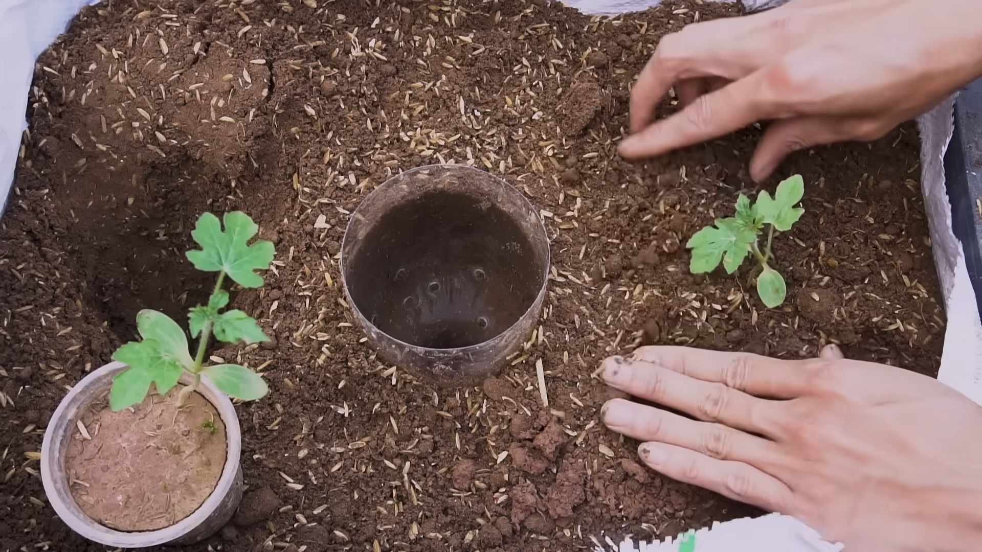 Hängematte Wassermelone selber machen
