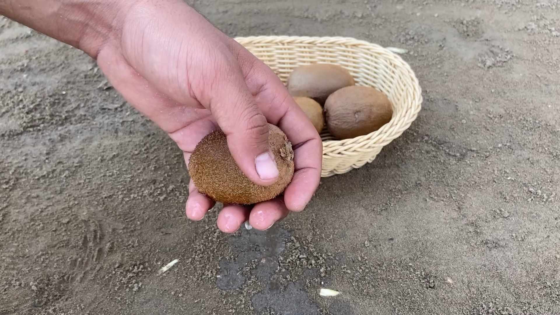 Kiwi Anbau Tipps Zuhause