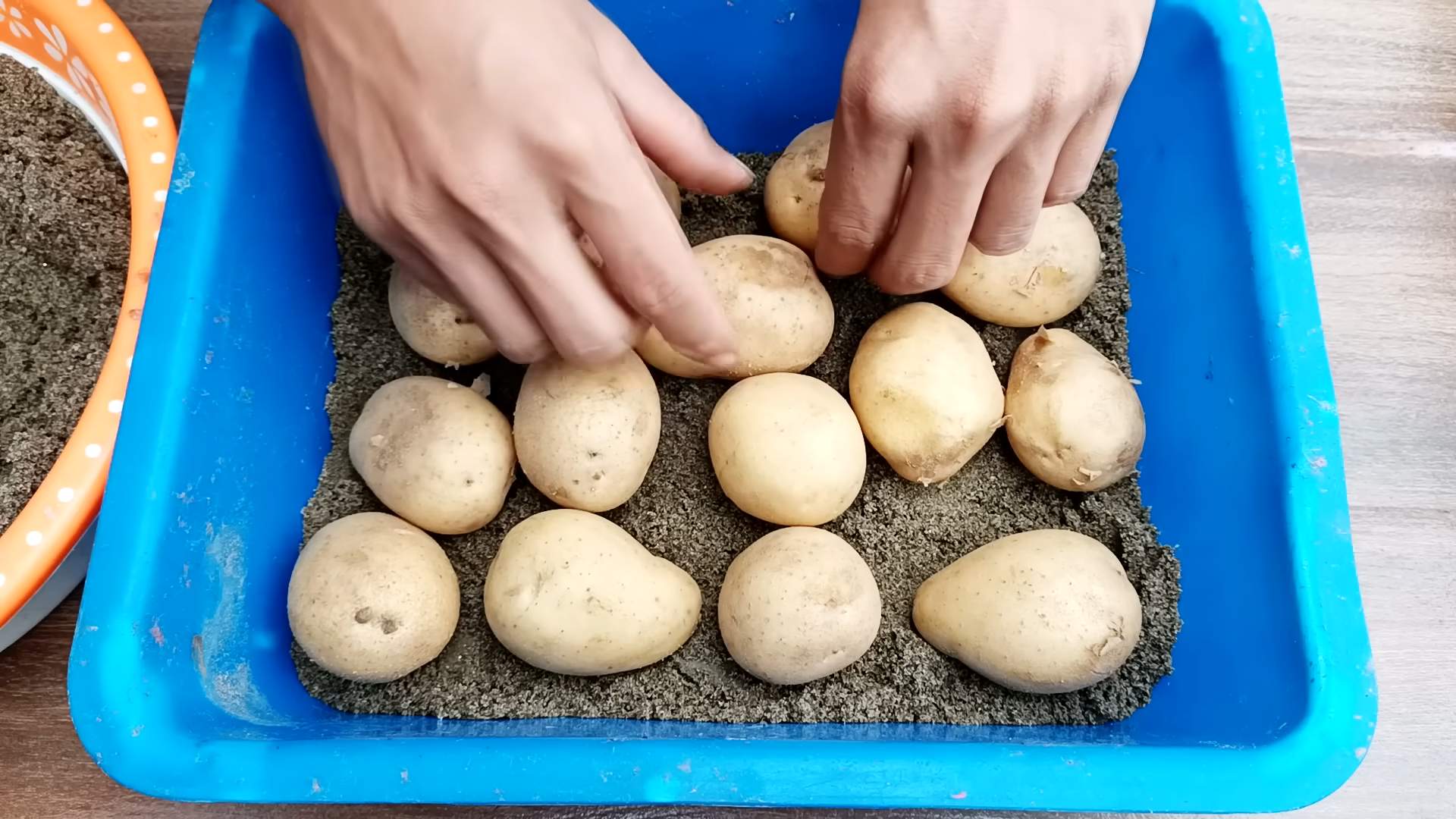Kartoffeln auf der Terrasse anbauen