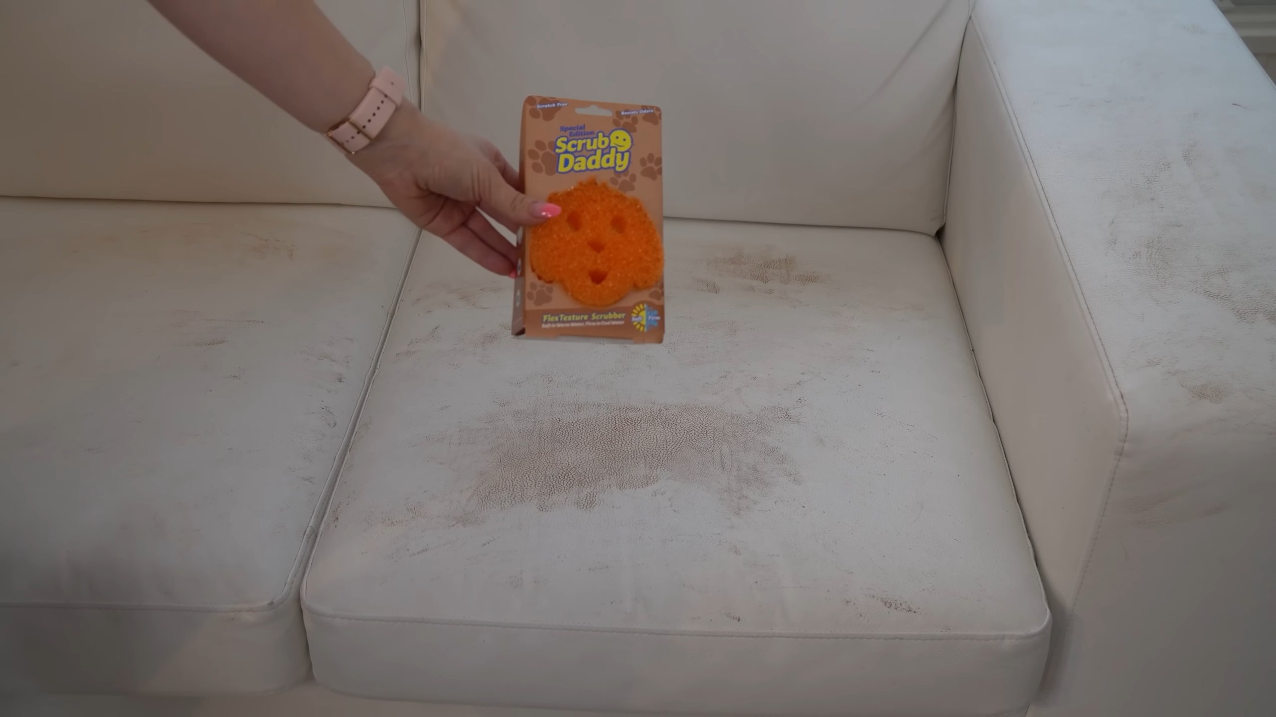 Scrub Daddy Reinigungstipps